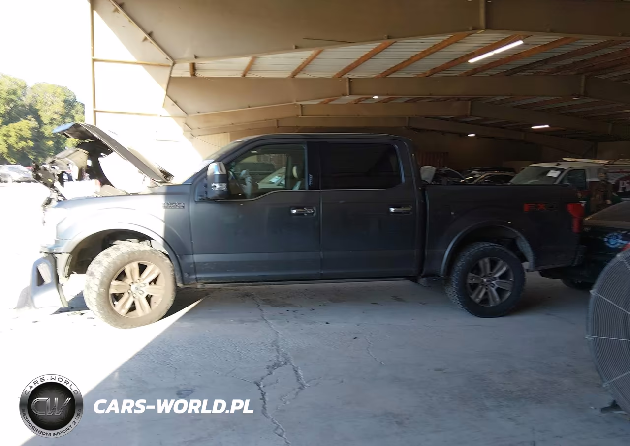 2018 Ford F-150 Platinum VIN:1FTEW1E55JFD10190 - 13