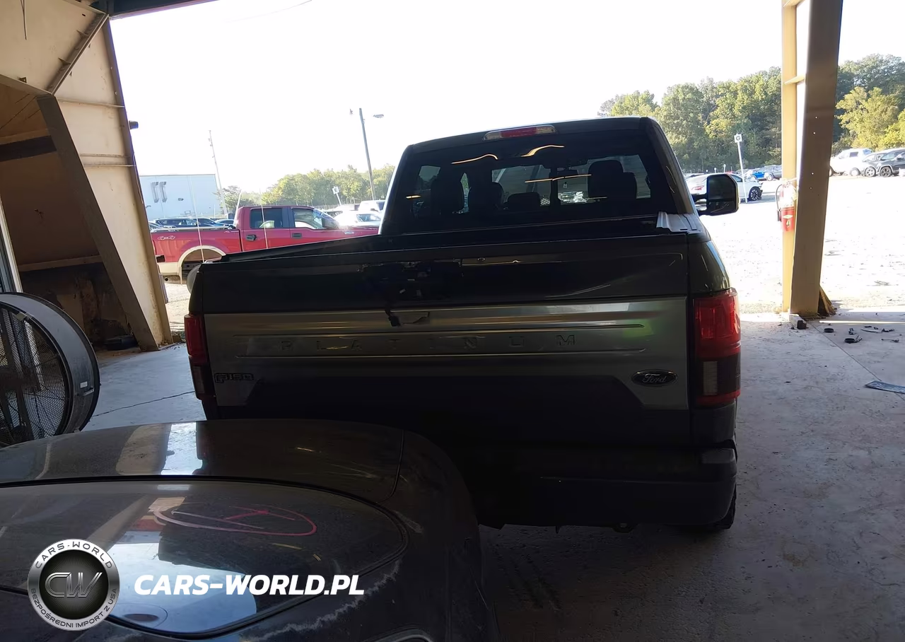 2018 Ford F-150 Platinum VIN:1FTEW1E55JFD10190 - 15