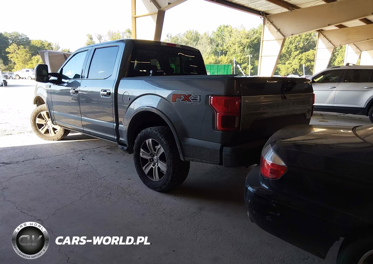 2018 Ford F-150 Platinum VIN:1FTEW1E55JFD10190 - 3