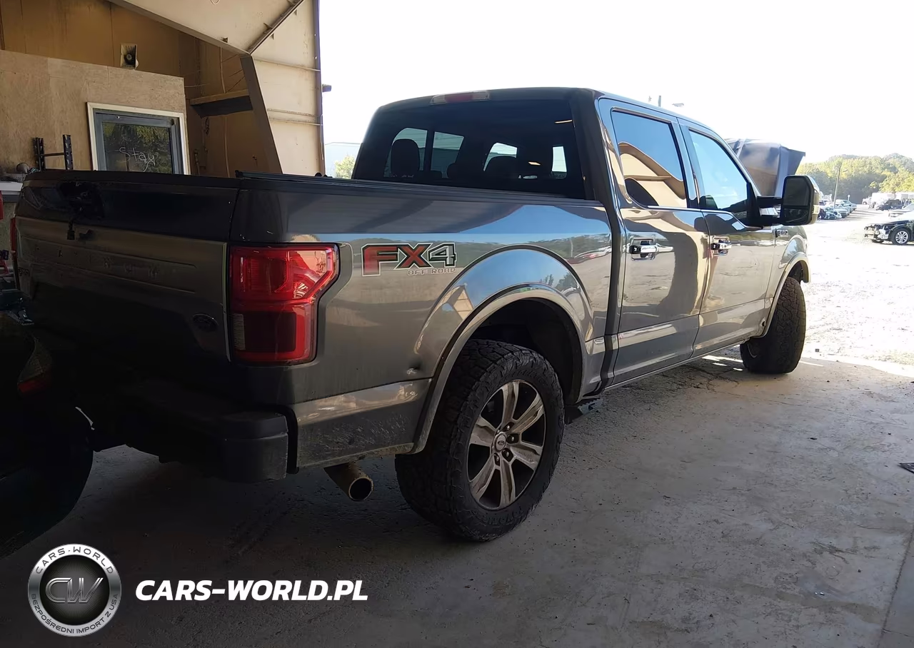 2018 Ford F-150 Platinum VIN:1FTEW1E55JFD10190 - 4