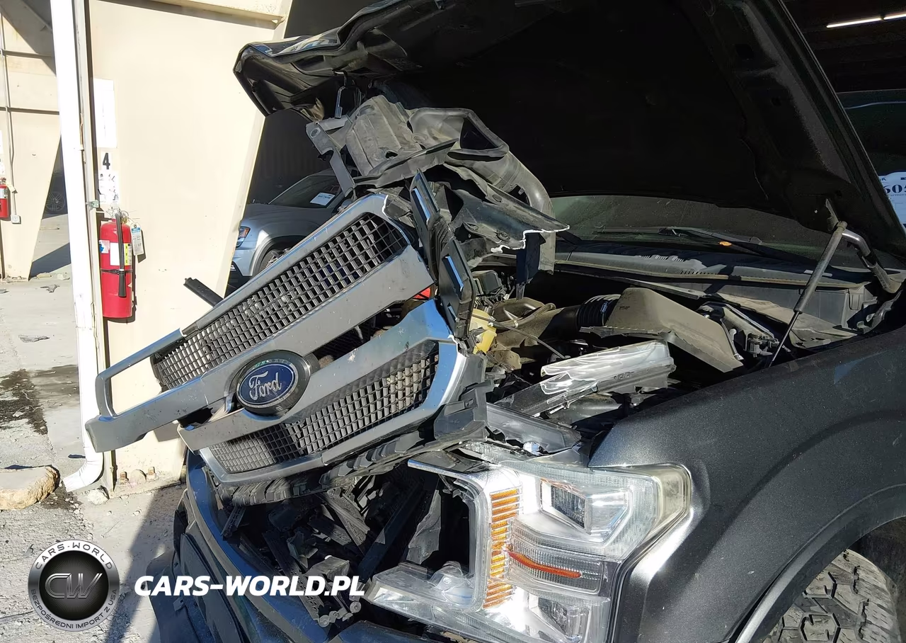 2018 Ford F-150 Platinum VIN:1FTEW1E55JFD10190 - 6