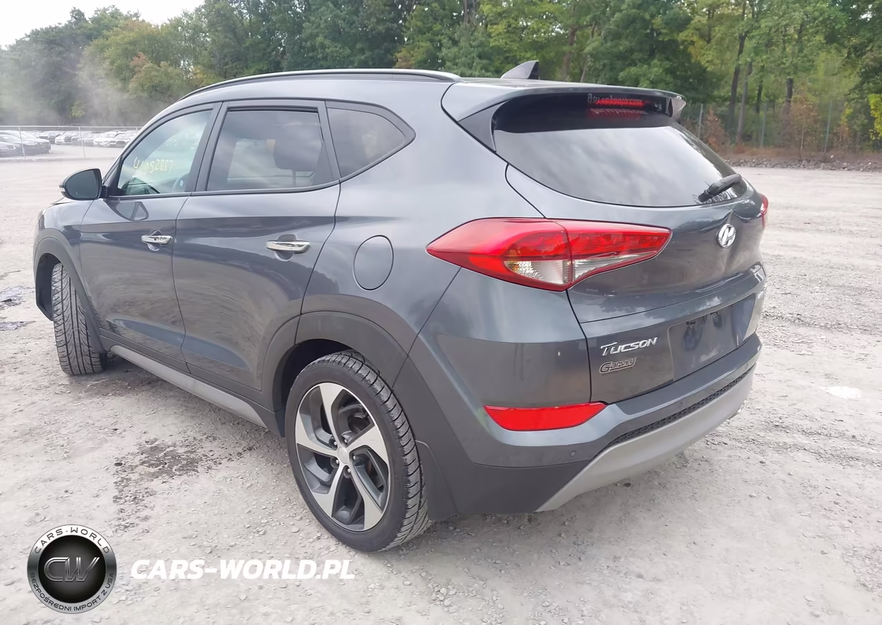 2017 Hyundai Tucson Limited VIN:KM8J3CA23HU307532 - 3