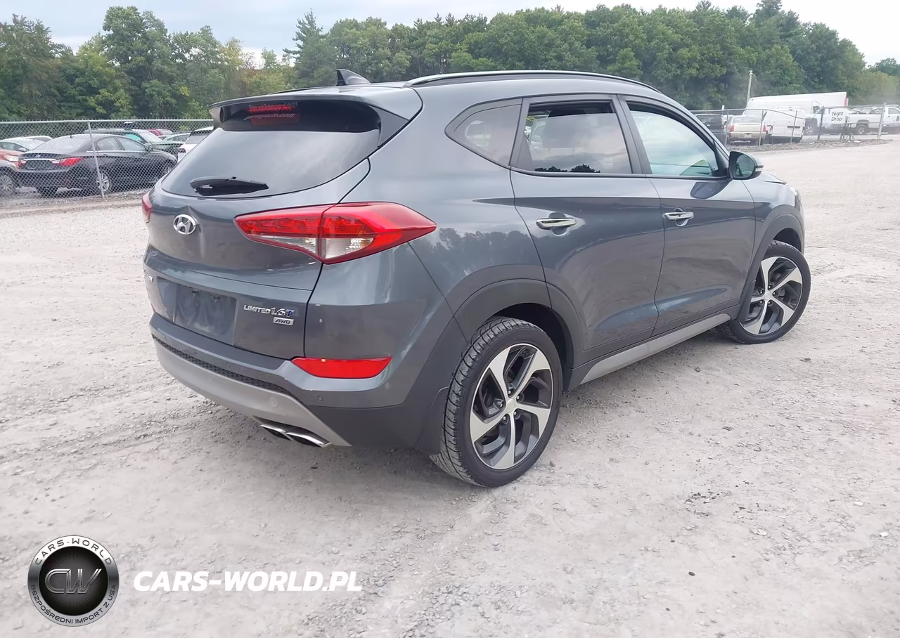 2017 Hyundai Tucson Limited VIN:KM8J3CA23HU307532 - 4