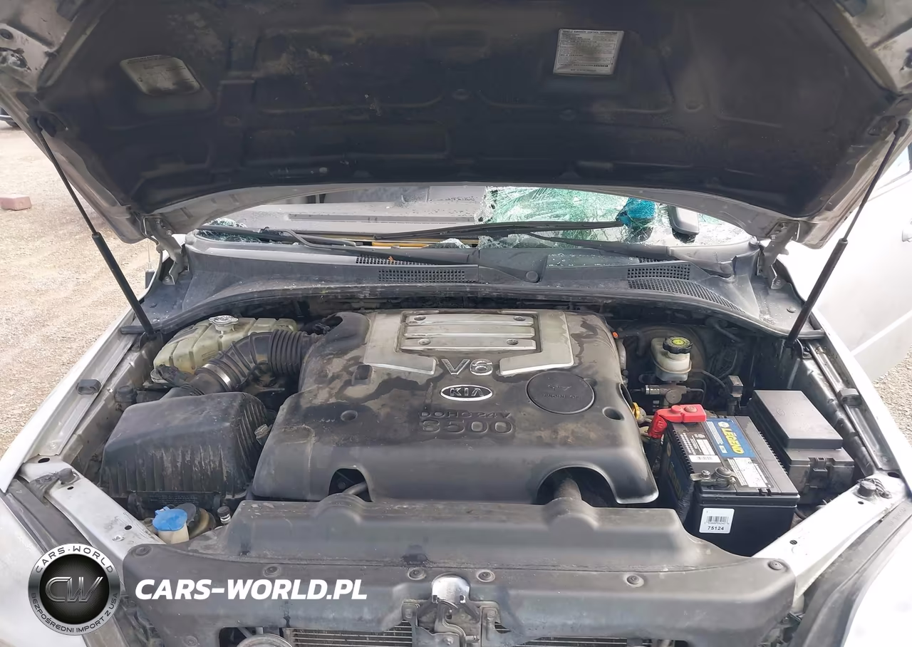 2006 Kia Sorento Ex-Lx VIN:KNDJC733065598886 - 10