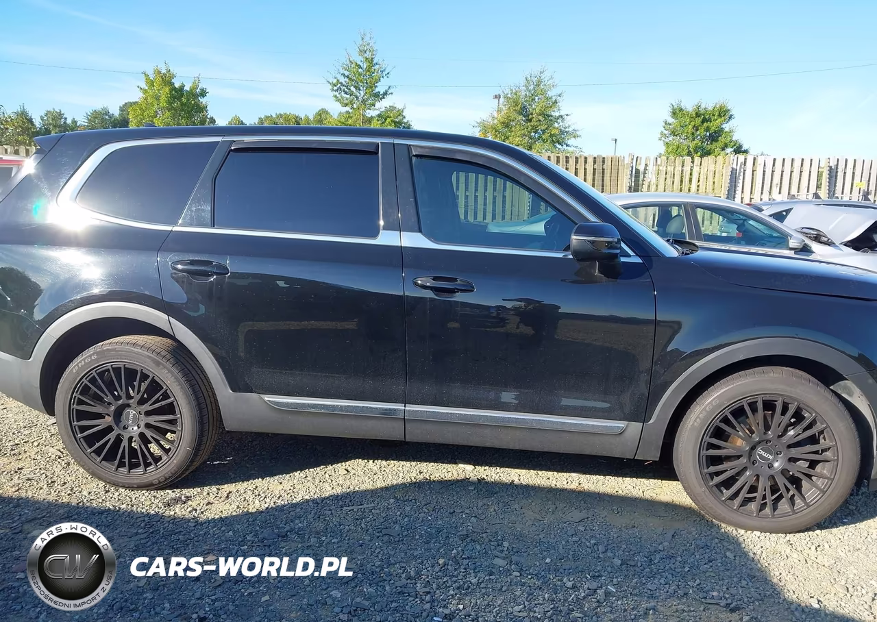 2020 Kia Telluride Lx VIN:5XYP2DHC3LG008526 - 13