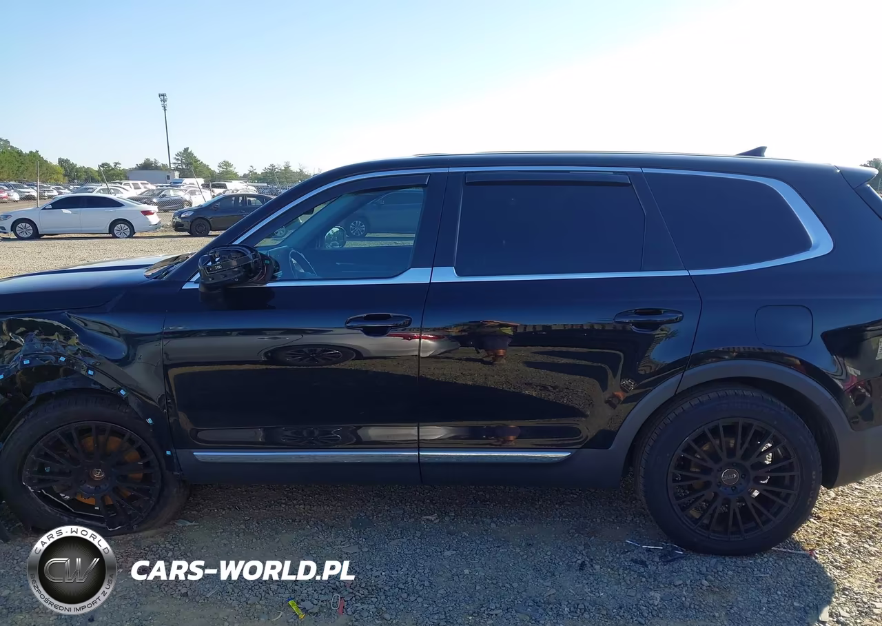 2020 Kia Telluride Lx VIN:5XYP2DHC3LG008526 - 14