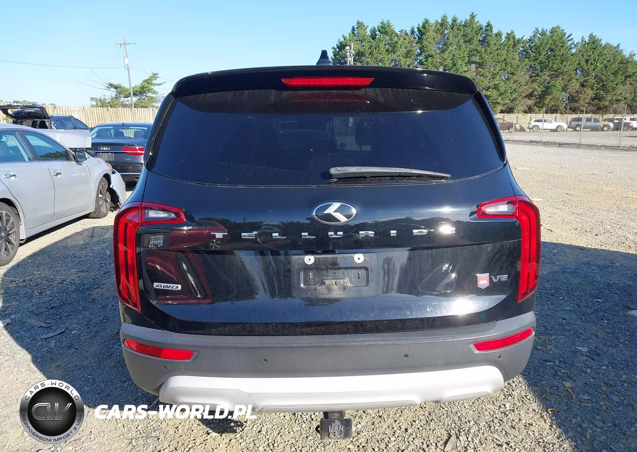 2020 Kia Telluride Lx VIN:5XYP2DHC3LG008526 - 16