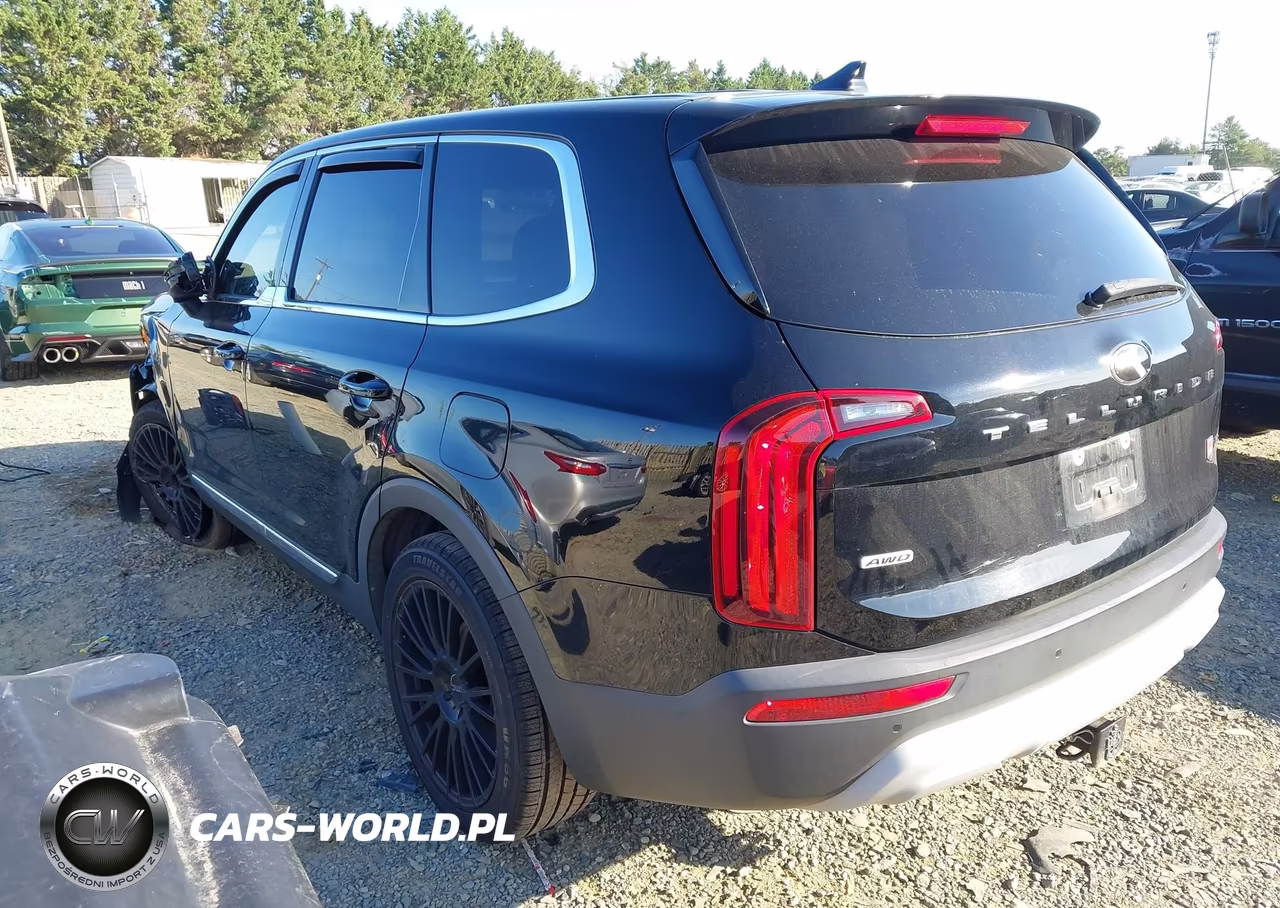 2020 Kia Telluride Lx VIN:5XYP2DHC3LG008526 - 3