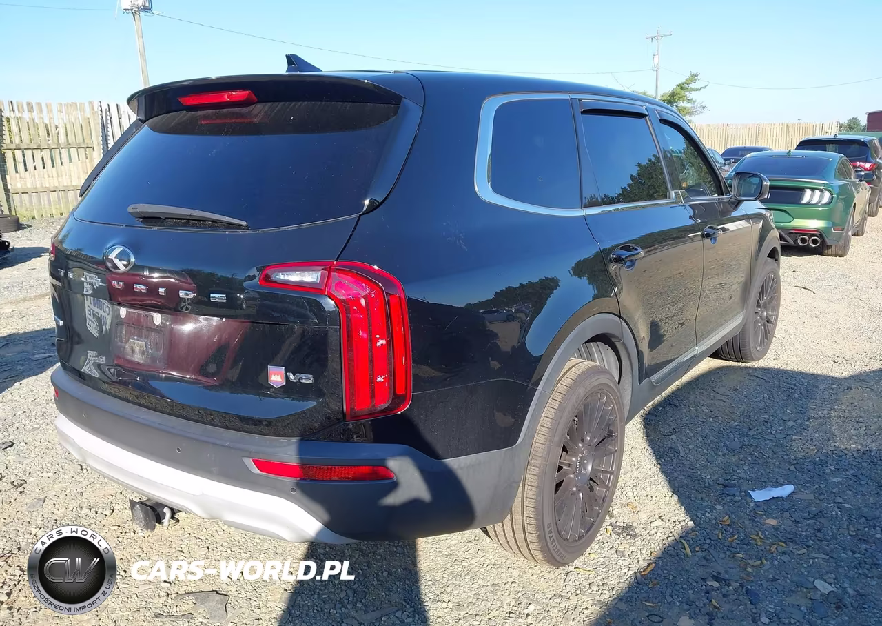 2020 Kia Telluride Lx VIN:5XYP2DHC3LG008526 - 4