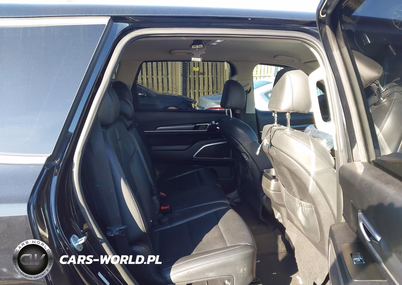 2020 Kia Telluride Lx VIN:5XYP2DHC3LG008526 - 8