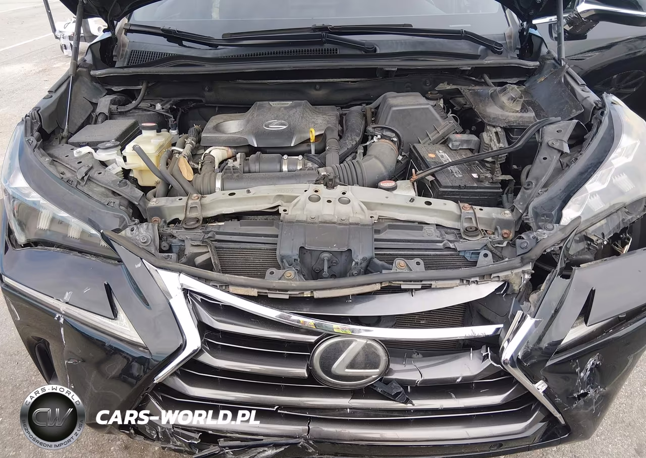 2016 Lexus Nx 200T VIN:JTJBARBZ0G2046316 - 10