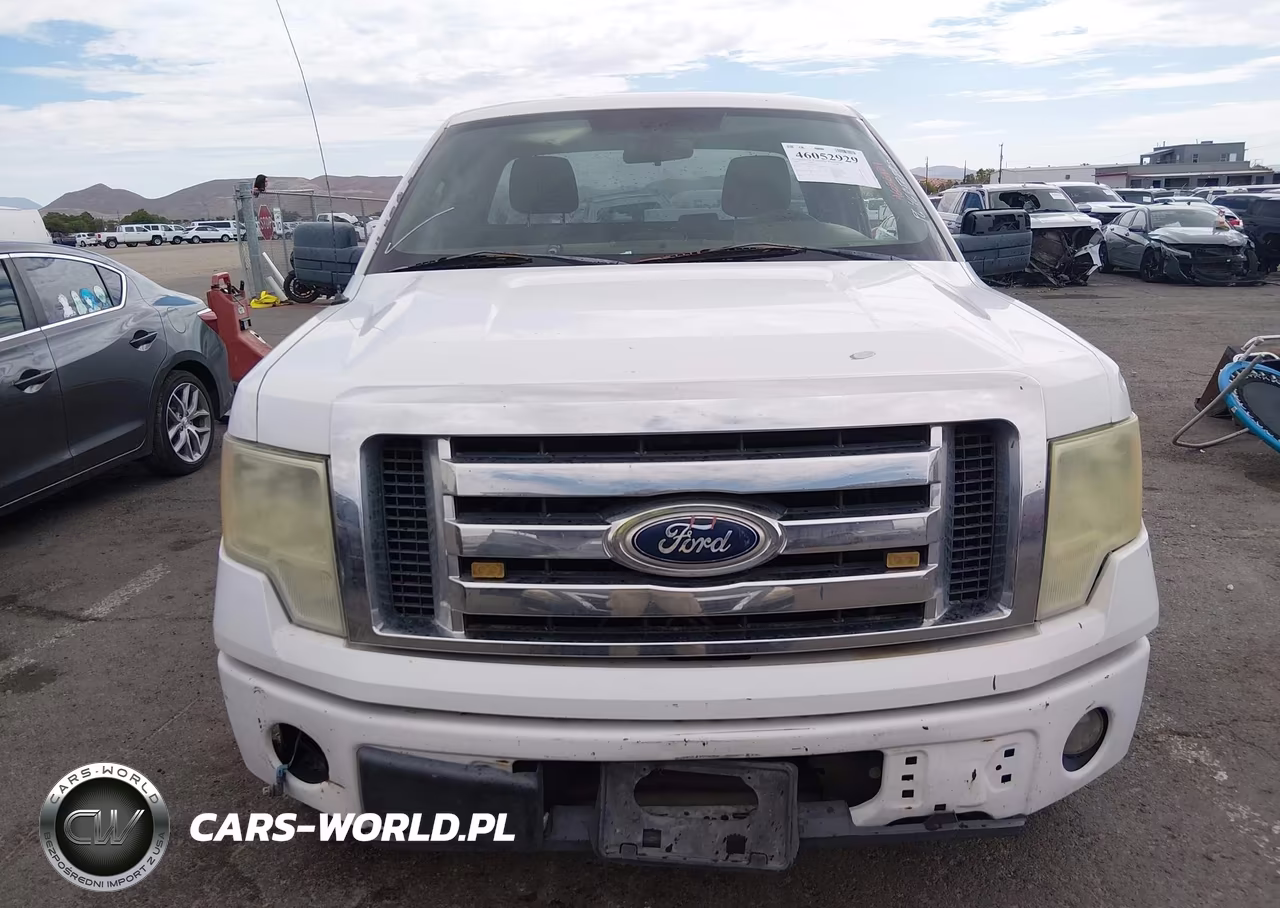 2009 Ford F-150 Stx-Xl-Xlt VIN:1FTRF12W69KB33585 - 13