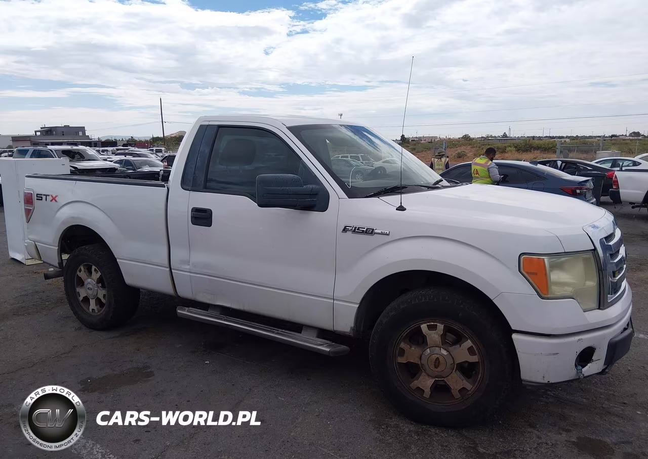 2009 Ford F-150 Stx-Xl-Xlt VIN:1FTRF12W69KB33585 - 14