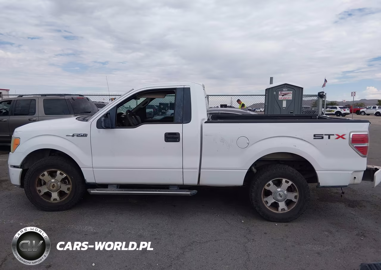 2009 Ford F-150 Stx-Xl-Xlt VIN:1FTRF12W69KB33585 - 15