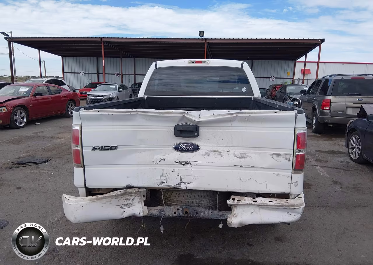 2009 Ford F-150 Stx-Xl-Xlt VIN:1FTRF12W69KB33585 - 17