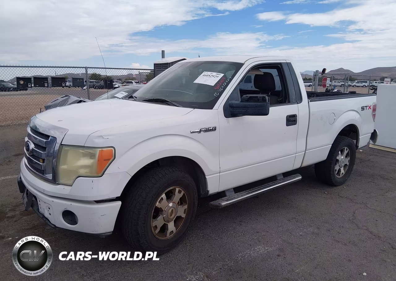 2009 Ford F-150 Stx-Xl-Xlt VIN:1FTRF12W69KB33585 - 2