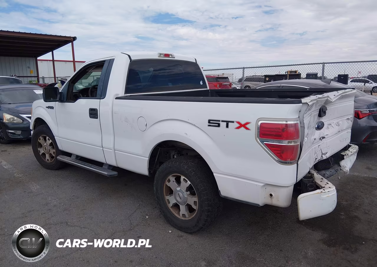2009 Ford F-150 Stx-Xl-Xlt VIN:1FTRF12W69KB33585 - 3