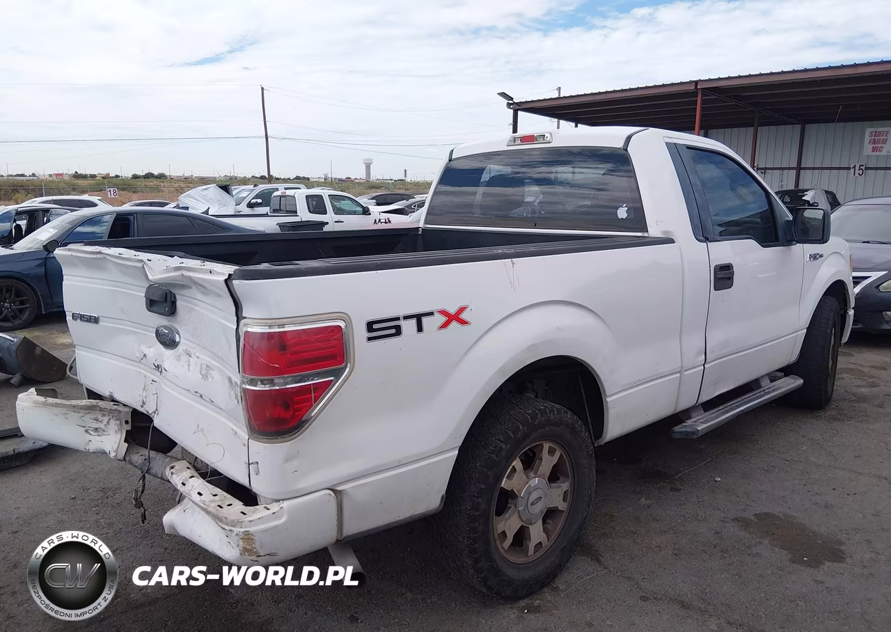 2009 Ford F-150 Stx-Xl-Xlt VIN:1FTRF12W69KB33585 - 4