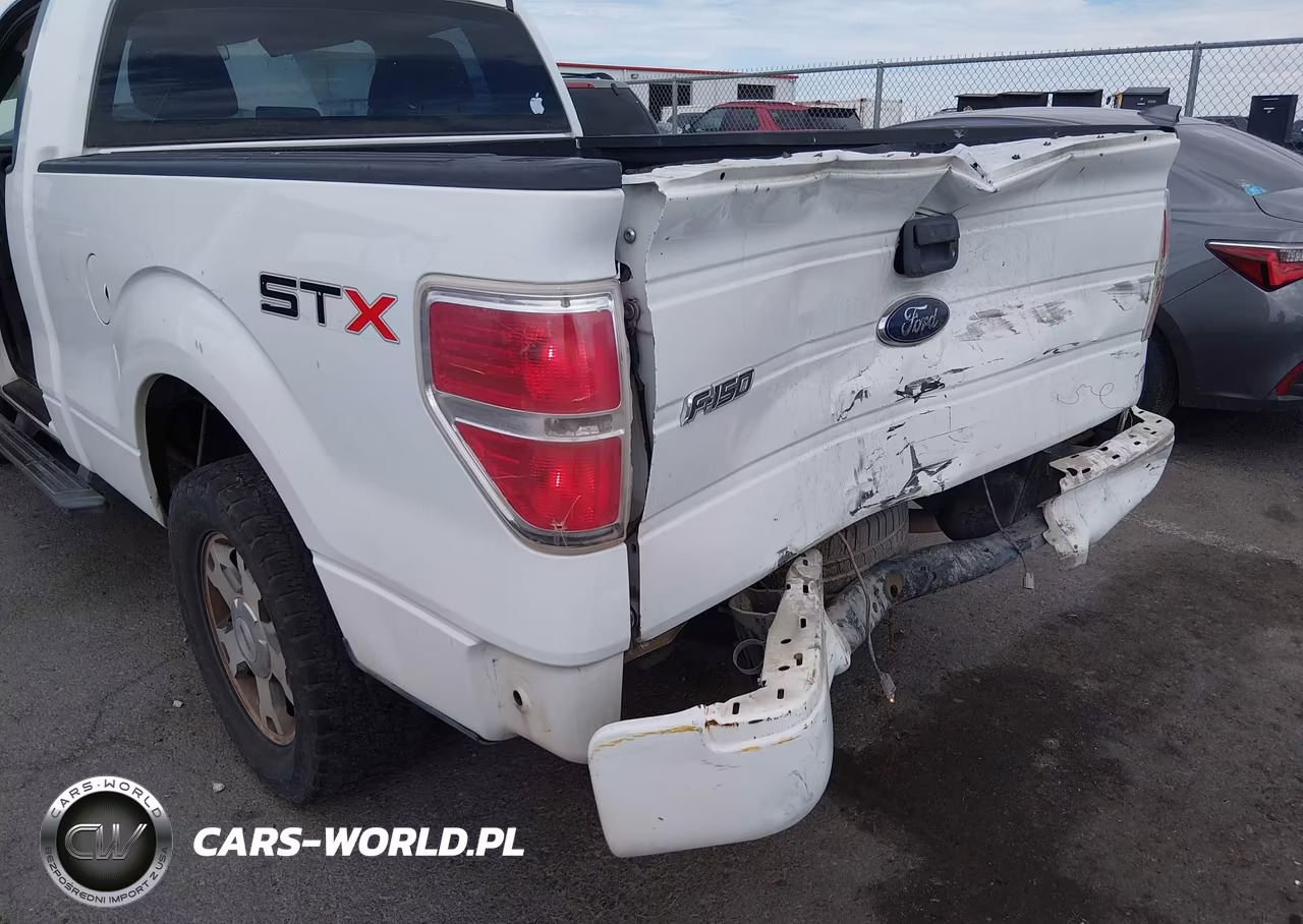 2009 Ford F-150 Stx-Xl-Xlt VIN:1FTRF12W69KB33585 - 6
