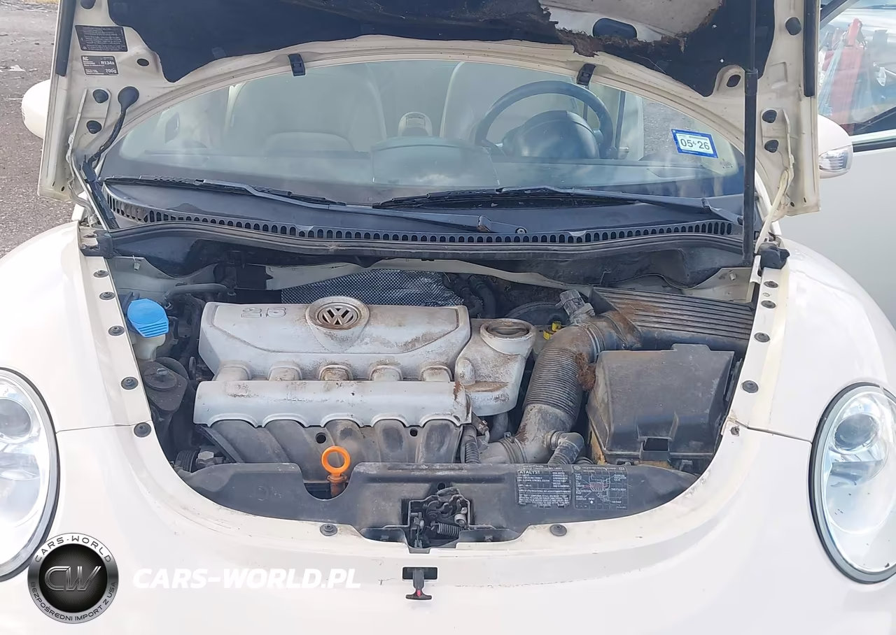 2006 Volkswagen New Beetle 2.5 VIN:3VWSG31C46M402217 - 10