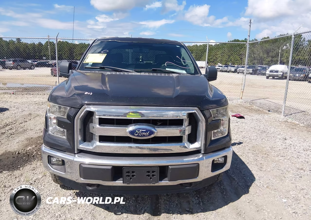 2015 Ford F-150 Xlt VIN:1FTEW1EP4FKD97872 - 13