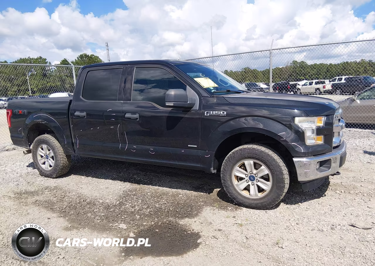 2015 Ford F-150 Xlt VIN:1FTEW1EP4FKD97872 - 14