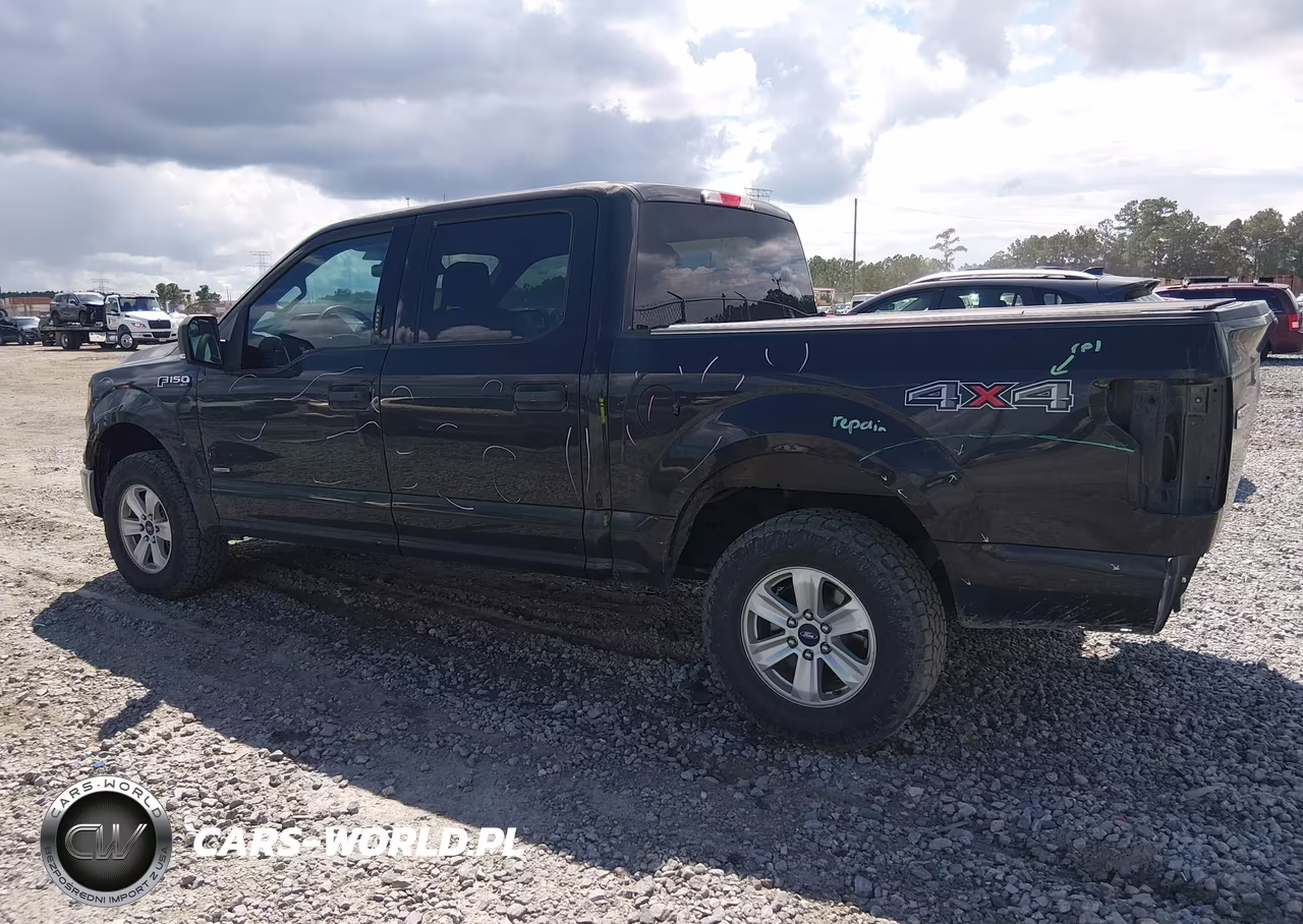 2015 Ford F-150 Xlt VIN:1FTEW1EP4FKD97872 - 15