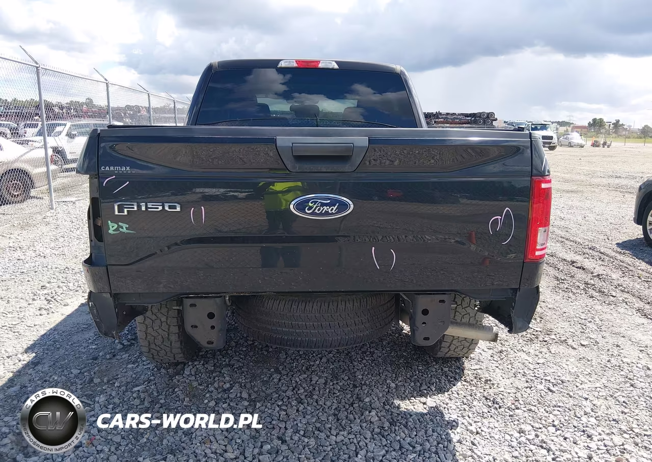 2015 Ford F-150 Xlt VIN:1FTEW1EP4FKD97872 - 17