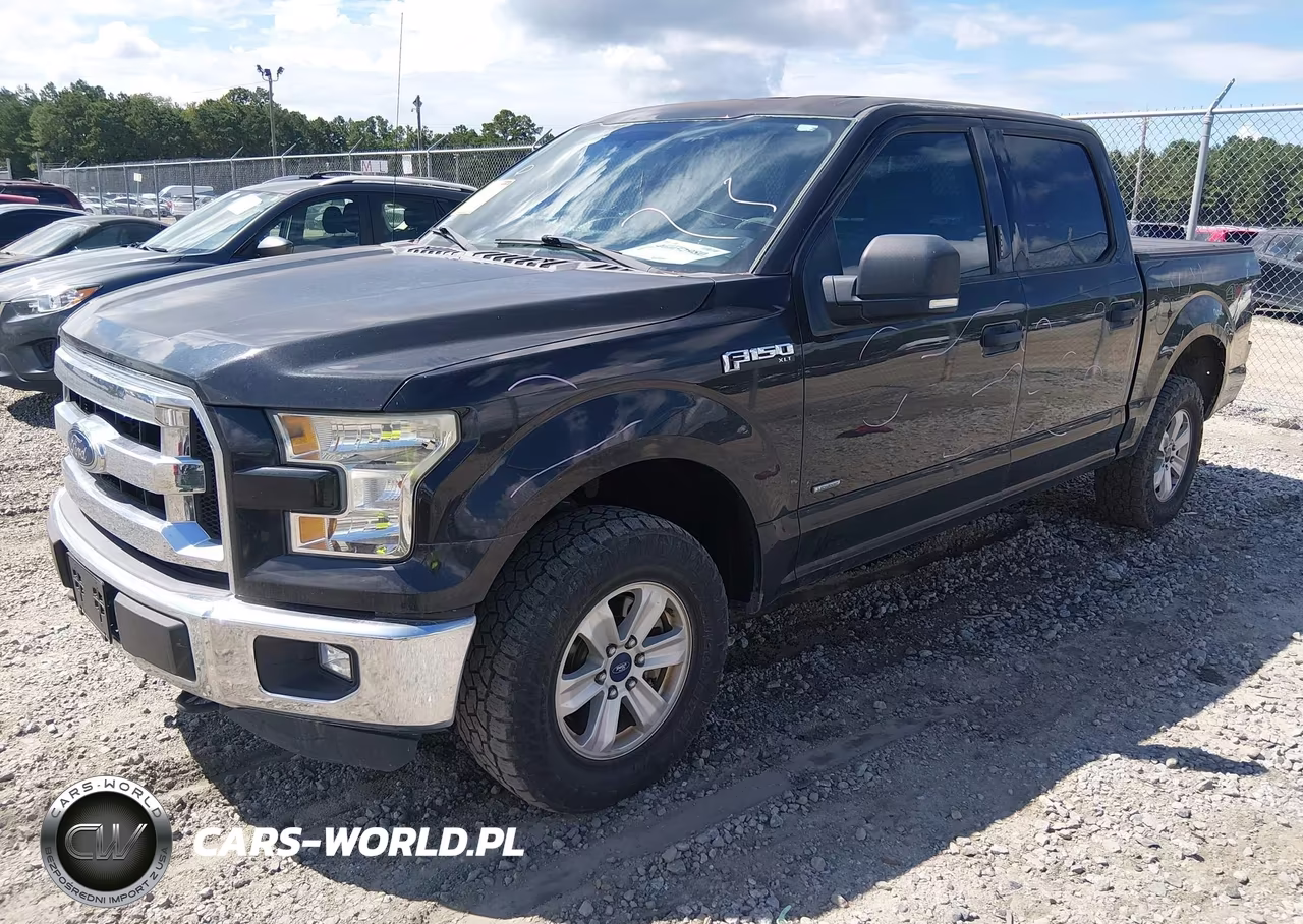 2015 Ford F-150 Xlt VIN:1FTEW1EP4FKD97872 - 2