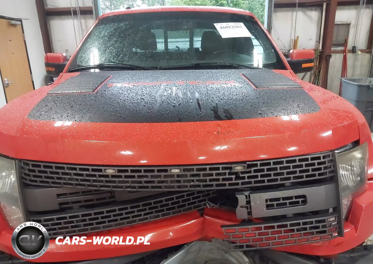 2011 Ford F-150 Svt Raptor VIN:1FTFW1R61BFA51898 - 12