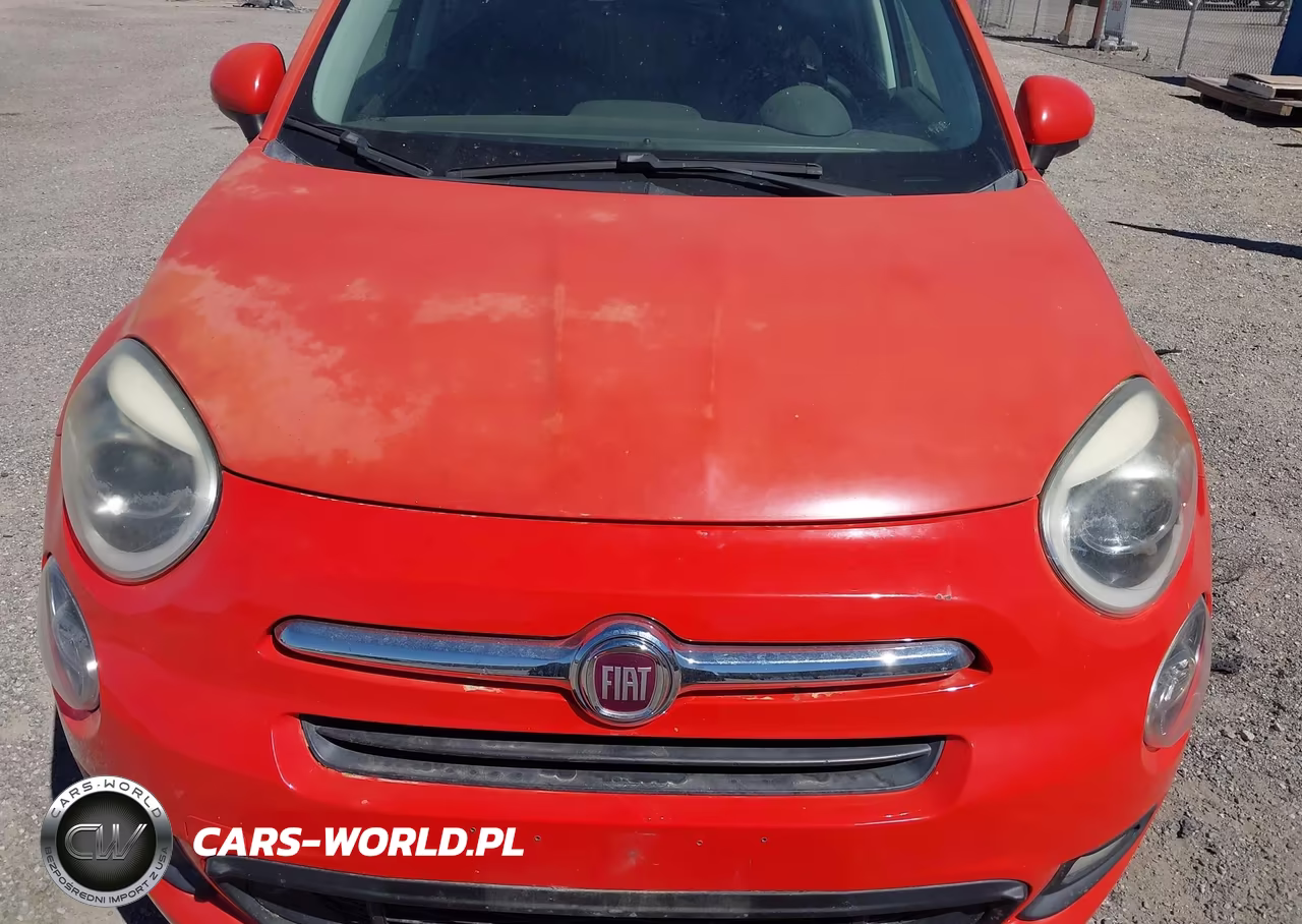 2016 Fiat 500X Lounge VIN:ZFBCFXDT7GP392648 - 6