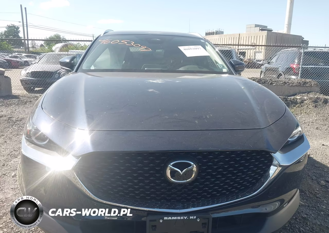 2025 Mazda Cx-30 2.5 S Preferred Package VIN:3MVDMBCM7SM761476 - 12
