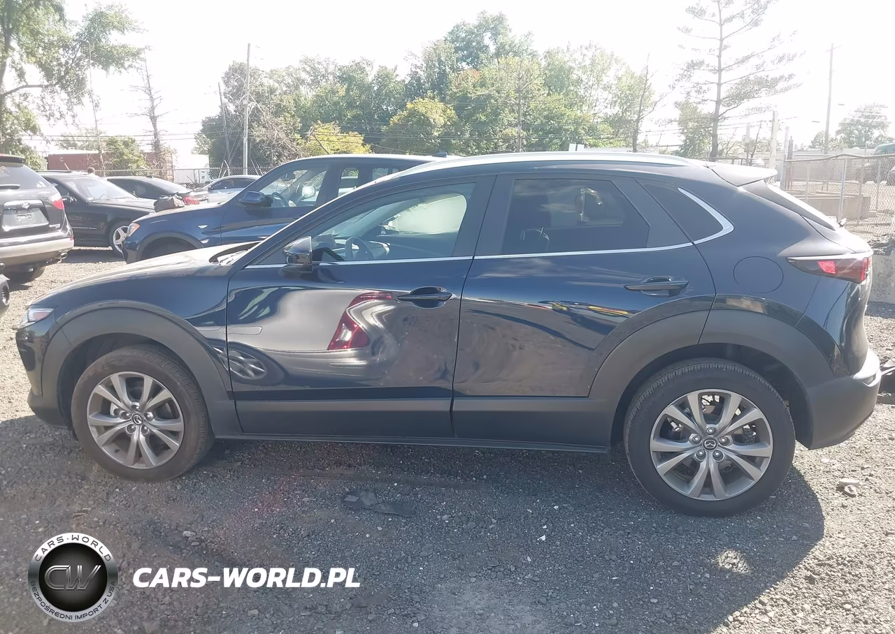 2025 Mazda Cx-30 2.5 S Preferred Package VIN:3MVDMBCM7SM761476 - 14