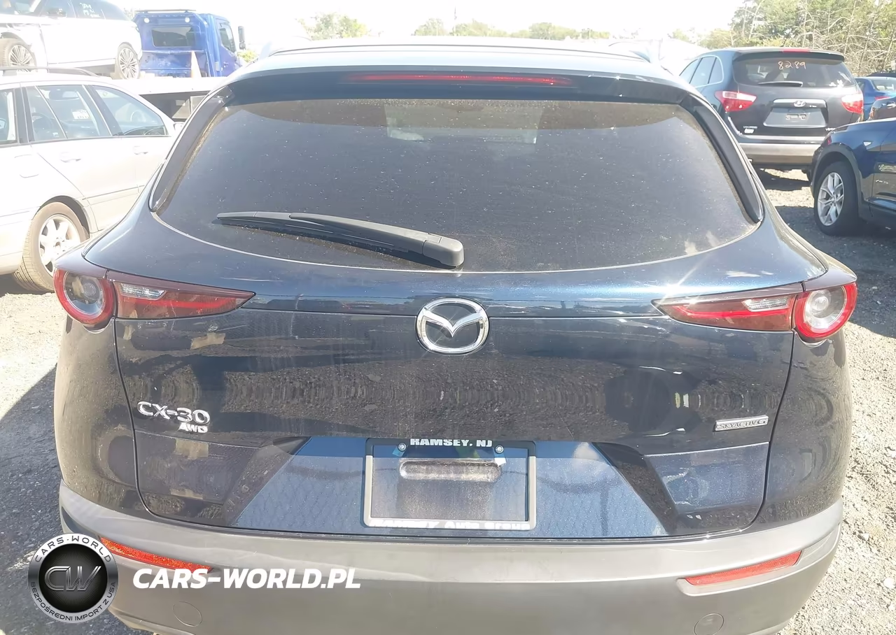 2025 Mazda Cx-30 2.5 S Preferred Package VIN:3MVDMBCM7SM761476 - 16