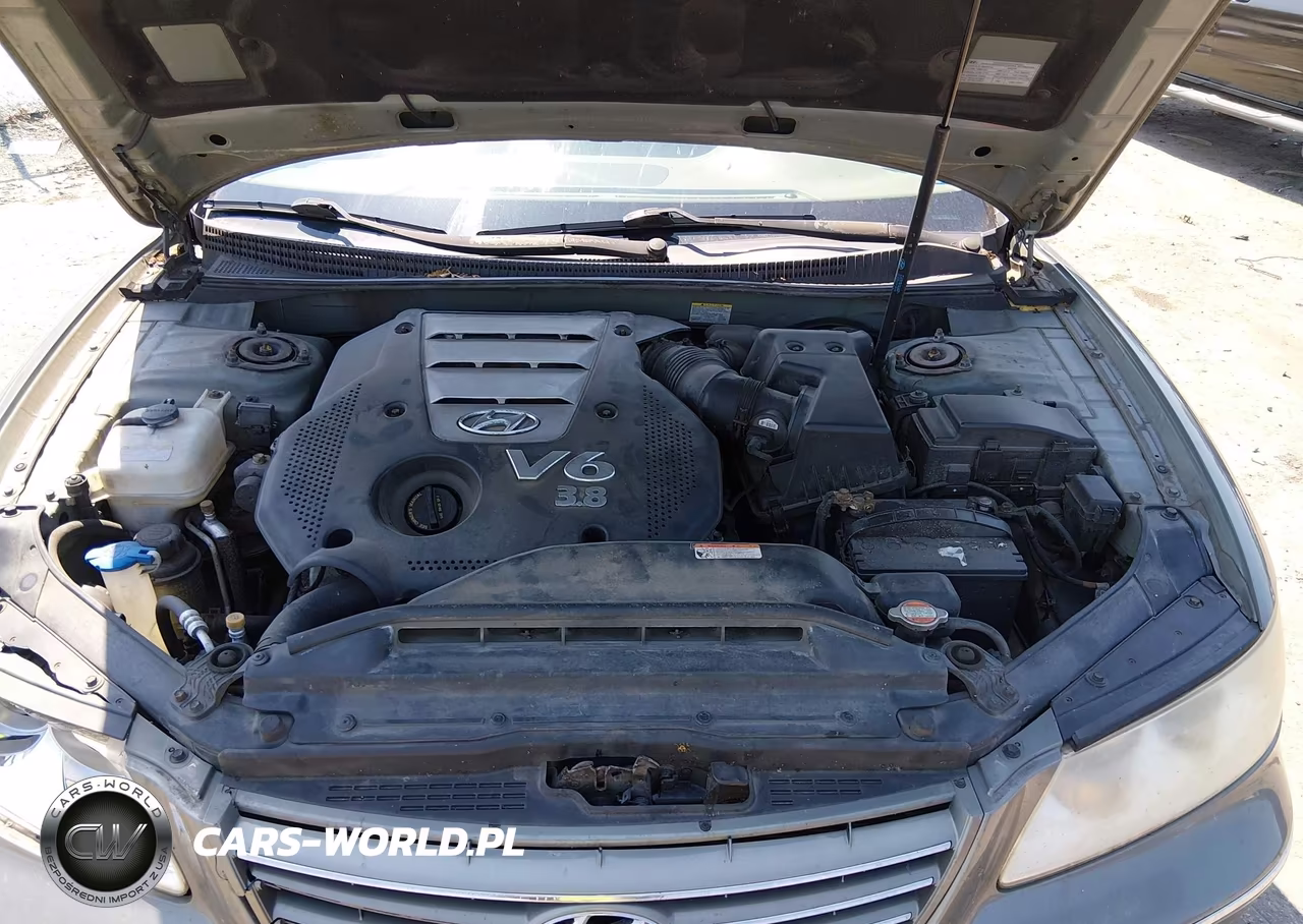 2008 Hyundai Azera Limited VIN:KMHFC46F48A286523 - 10