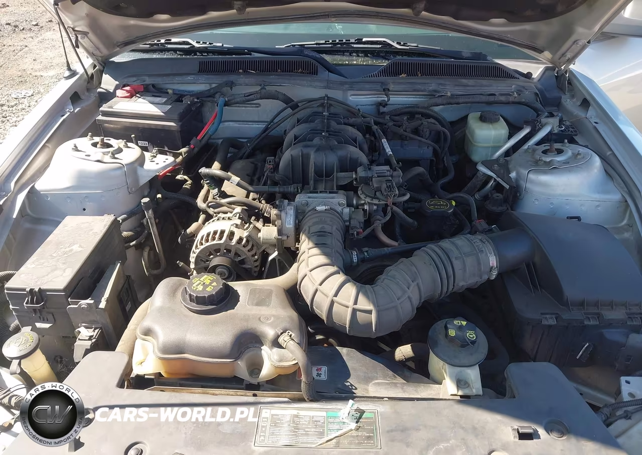 2006 Ford Mustang V6 VIN:1ZVFT80NX65176316 - 10