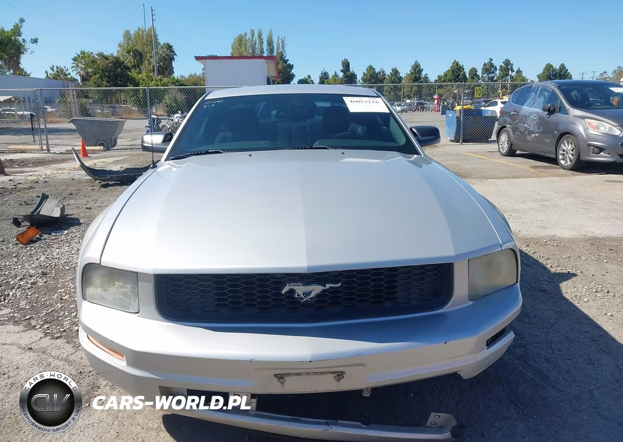 2006 Ford Mustang V6 VIN:1ZVFT80NX65176316 - 12