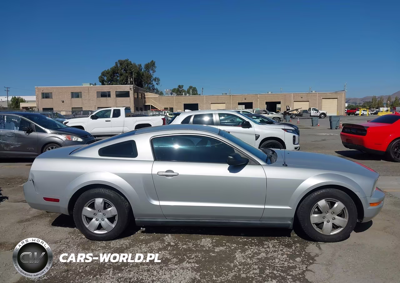 2006 Ford Mustang V6 VIN:1ZVFT80NX65176316 - 13