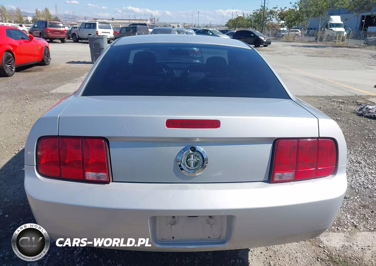 2006 Ford Mustang V6 VIN:1ZVFT80NX65176316 - 16
