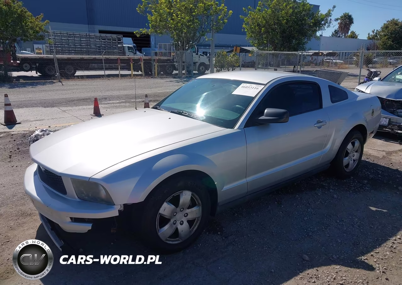 2006 Ford Mustang V6 VIN:1ZVFT80NX65176316 - 2