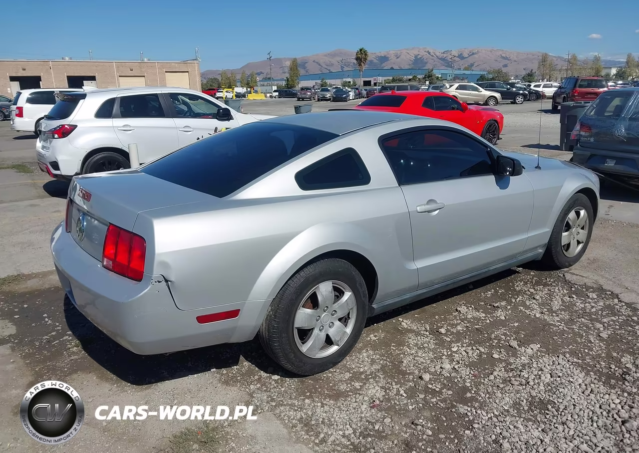 2006 Ford Mustang V6 VIN:1ZVFT80NX65176316 - 4