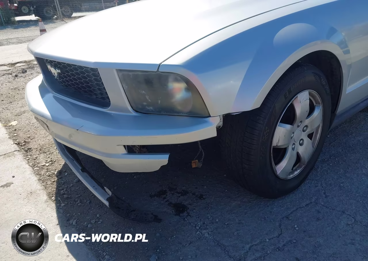 2006 Ford Mustang V6 VIN:1ZVFT80NX65176316 - 6