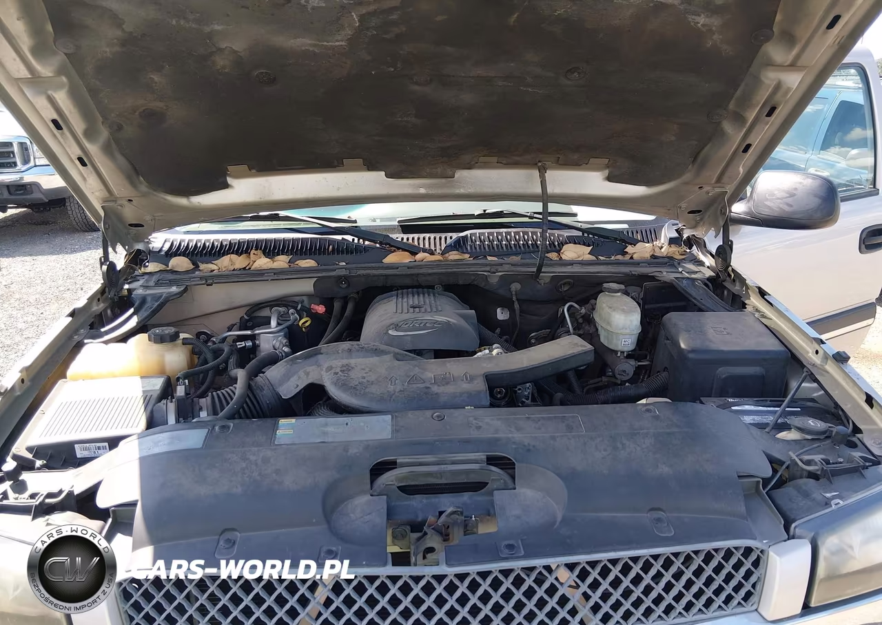 2005 Chevrolet Avalanche 1500 Z66 VIN:3GNEC12Z45G163047 - 10