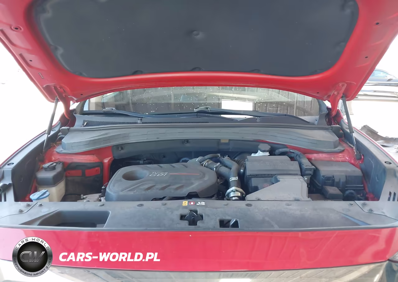 2020 Hyundai Santa Fe Limited 2.0T VIN:5NMS53AA5LH263527 - 10