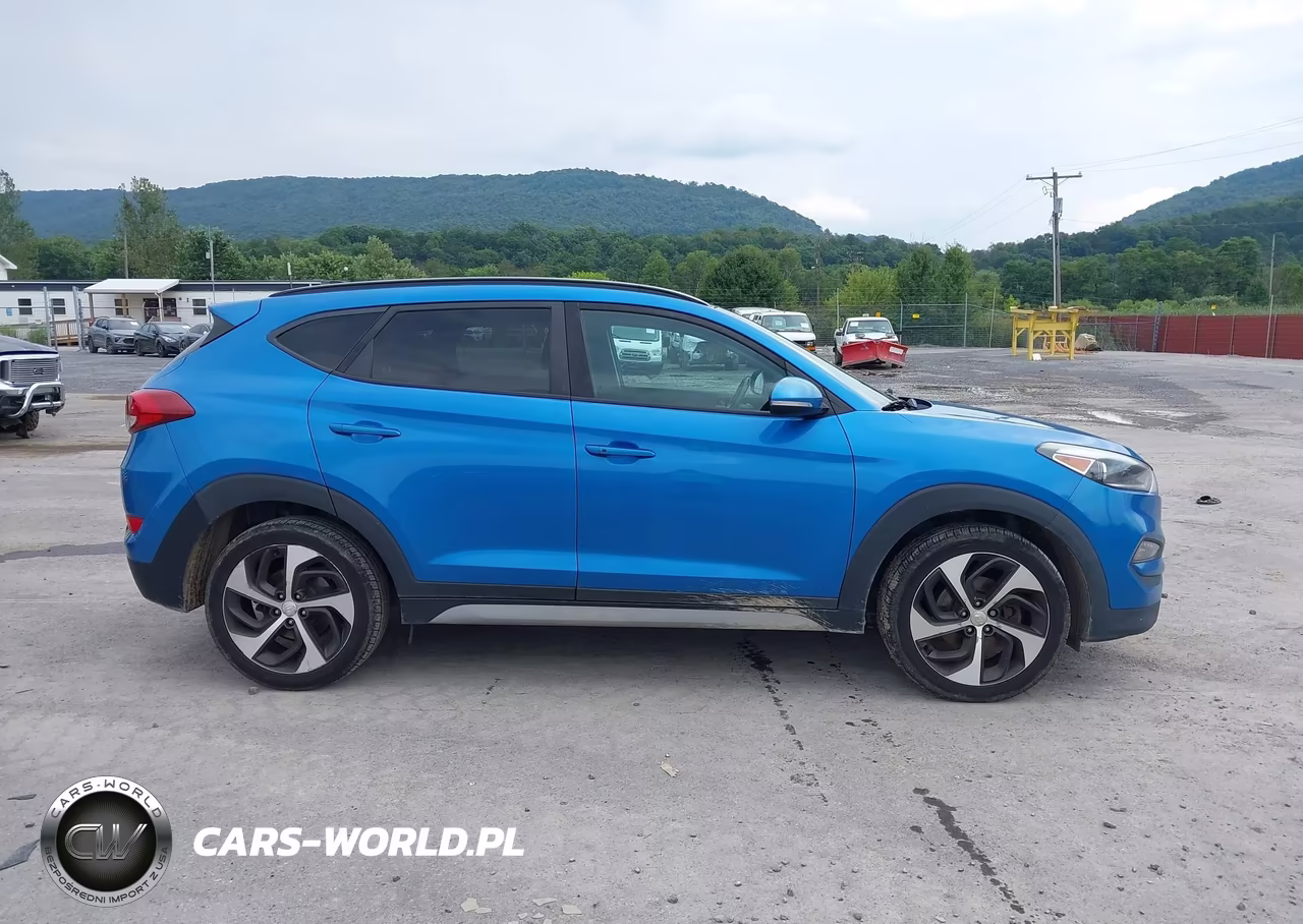 2018 Hyundai Tucson Value VIN:KM8J3CA20JU724421 - 13
