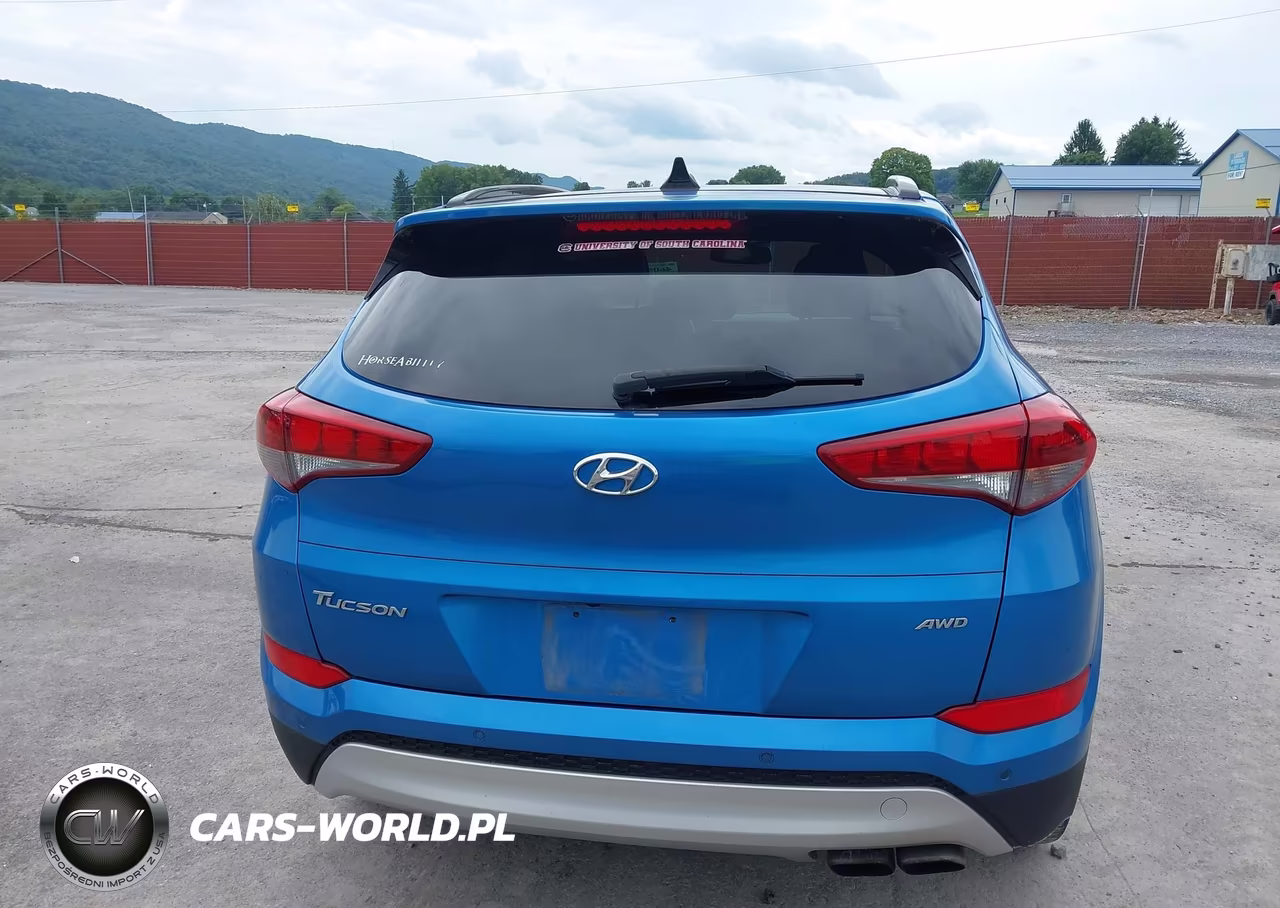 2018 Hyundai Tucson Value VIN:KM8J3CA20JU724421 - 16