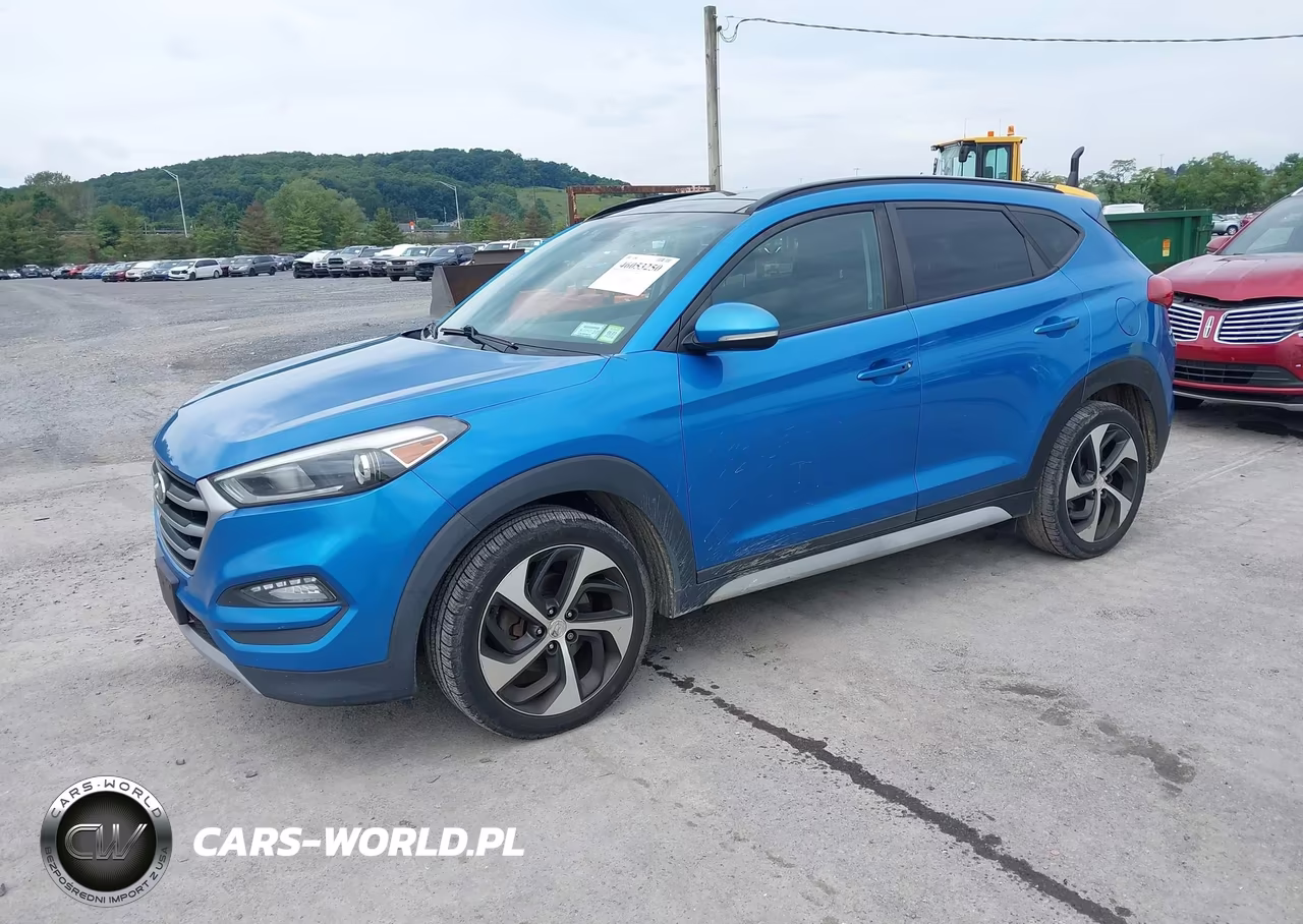 2018 Hyundai Tucson Value VIN:KM8J3CA20JU724421 - 2