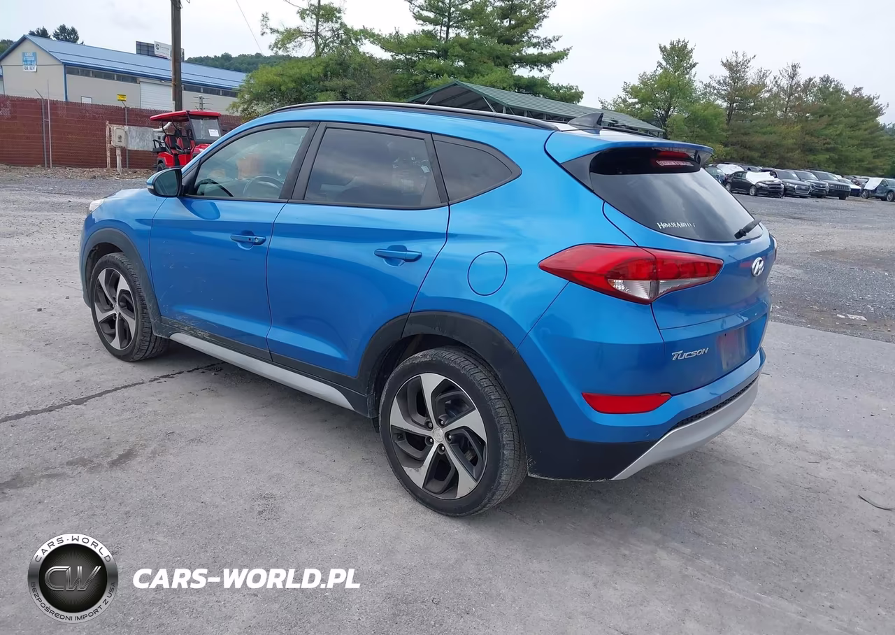 2018 Hyundai Tucson Value VIN:KM8J3CA20JU724421 - 3