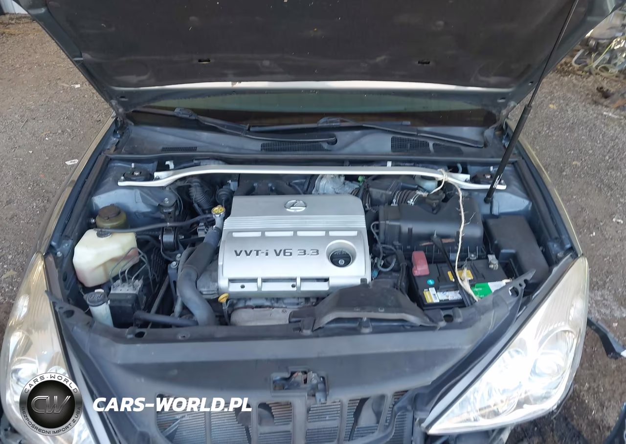 2005 Lexus Es 330 VIN:JTHBA30G755130046 - 10