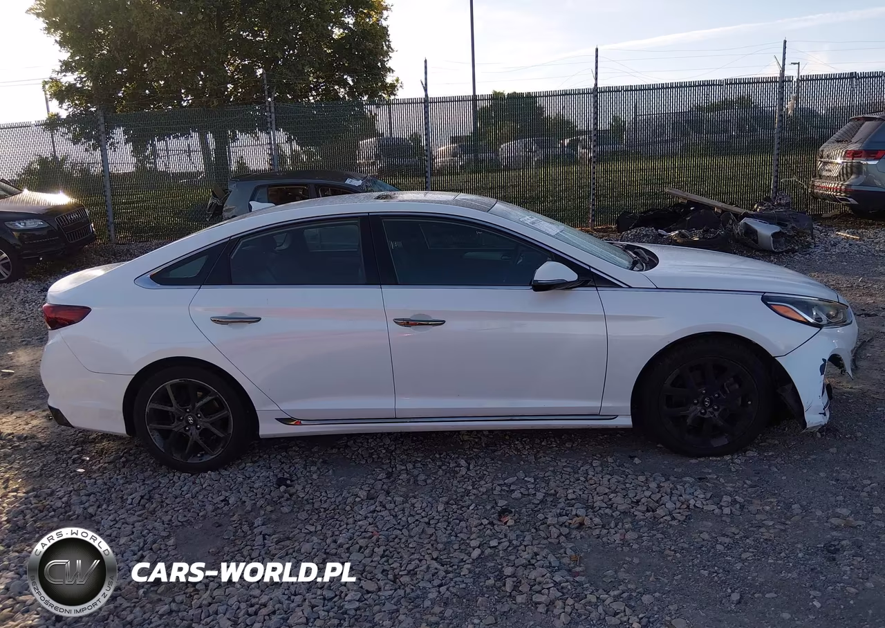 2018 Hyundai Sonata Sport 2.0T VIN:5NPE34AB1JH674764 - 13